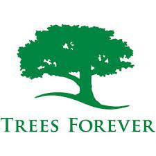 trees_forever_logo